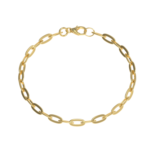 the-strongest-link-bracelet-gold